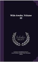 Wide Awake, Volume 20