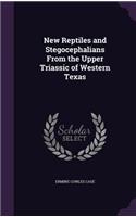 New Reptiles and Stegocephalians From the Upper Triassic of Western Texas