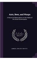 Ants, Bees, and Wasps