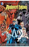 Animal Man Volume 3: Rotworld The Red Kingdom TP (The New 52)