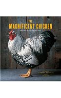 The Magnificent Chicken