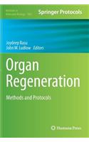 Organ Regeneration