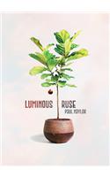 Luminous Ruse
