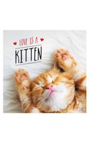 Love is a Kitten