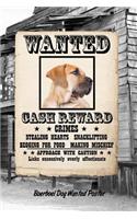 Boerboel Dog Wanted Poster: Handwriting Practice Paper for Kids Notebook with Dotted Lined Sheets for K-3 Students Featuring 120 Pages 6x9