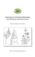 Prologue to the Series