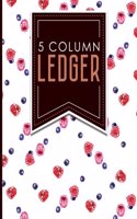 5 Column Ledger