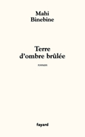 Terre d'ombre brûlée