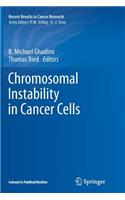 Chromosomal Instability in Cancer Cells