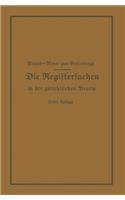 Die Registersachen Handelsregister Genossenschafts-, Vereins-, Güterrechts-, Muster-, Schiffs- und Schiffsbauwerks-Register in der gerichtlichen Praxis