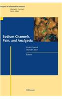 Sodium Channels, Pain, and Analgesia