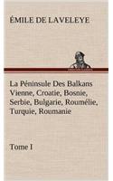 La Péninsule Des Balkans Vienne, Croatie, Bosnie, Serbie, Bulgarie, Roumélie, Turquie, Roumanie - Tome I