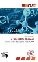 L-Pipecolate Oxidase