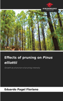 Effects of pruning on Pinus elliottii