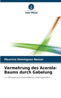 Vermehrung des Acerola-Baums durch Gabelung