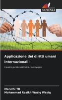 Applicazione dei diritti umani internazionali
