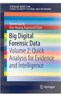 Big Digital Forensic Data