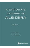 Graduate Course In Algebra, A - Volume 1