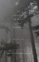 Promise of Rage and Harmony