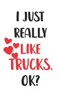 I Just Really Like Trucks, Ok? Gift For Men, Women, Kids, Cute Notebook a Beautiful