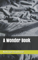 A Wonder Book