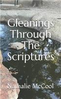 Gleanings Through The Scriptures