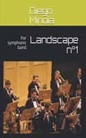 Landscape n°1