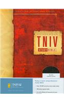 Study Bible-TNIV