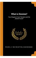 What Is Zionism?: Two Chapters from Zionism and the Jewish Future