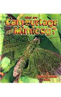 What Are Camouflage & Mimicry?