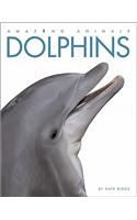 Amazing Animals: Dolphins