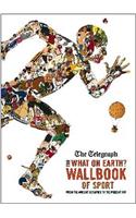 What on Earth? Wallbook of Sport