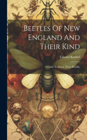 Beetles Of New England And Their Kind