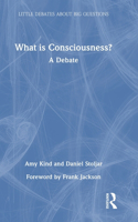 What Is Consciousness?