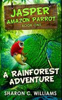 A Rainforest Adventure