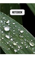 Notebook: Prise de notes, original & pratique de 110 pages lignées avec une couverture photo - Feuille de roseau Gouttes d'eau