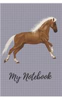 My Notebook