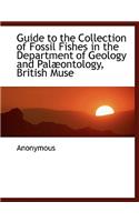 Guide to the Collection of Fossil Fishes in the Department of Geology and Pal Ontology, British Muse