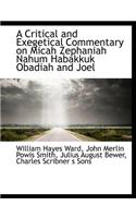 A Critical and Exegetical Commentary on Micah Zephaniah Nahum Habakkuk Obadiah and Joel