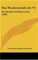 Wucherstrafrecht V1