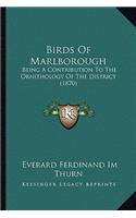 Birds of Marlborough