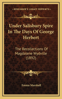 Under Salisbury Spire In The Days Of George Herbert: The Recollections Of Magdalene Wydville (1892)