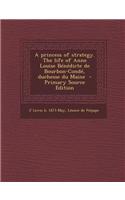 A Princess of Strategy. the Life of Anne Louise Benedicte de Bourbon-Conde, Duchesse Du Maine - Primary Source Edition