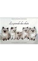 La Parade Des Chats 2017