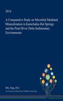 A Comparative Study on Microbial Mediated Mineralization in Kamchatka Hot Springs and the Pearl River Delta Sedimentary Environments