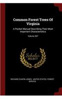 Common Forest Trees Of Virginia