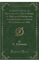 Andre Castagne, Ou Histoire d'Un Vieux Marin Du Brigantin Swordfish, Naufrage Dans Le Golfe St.-Laurent En 1867 (Classic Reprint)