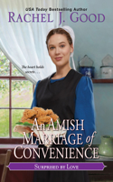 Amish Marriage of Convenience