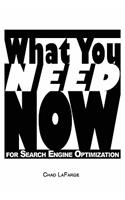 What You Need NOW for Search Engine Optimization