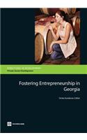 Fostering Entrepreneurship in Georgia